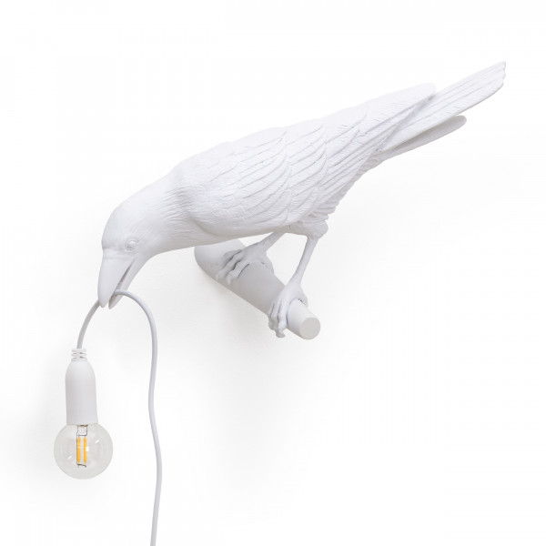 Bird lamp outlet looking